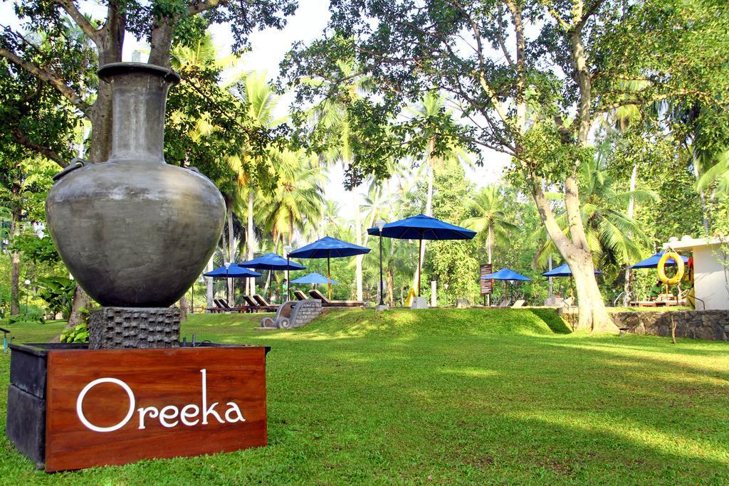 Oreeka - Katunayake Airport Transit Hotels Bagian luar foto