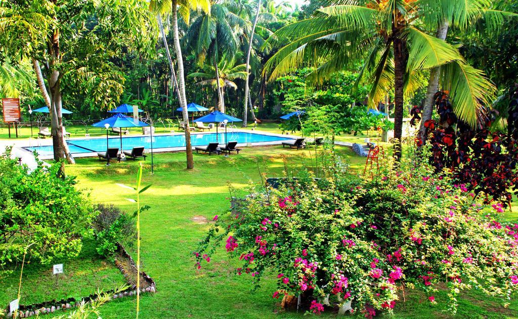 Oreeka - Katunayake Airport Transit Hotels Bagian luar foto