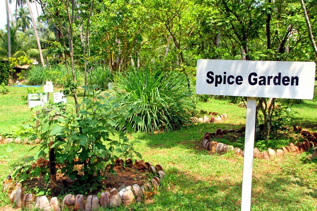Oreeka - Katunayake Airport Transit Hotels Bagian luar foto