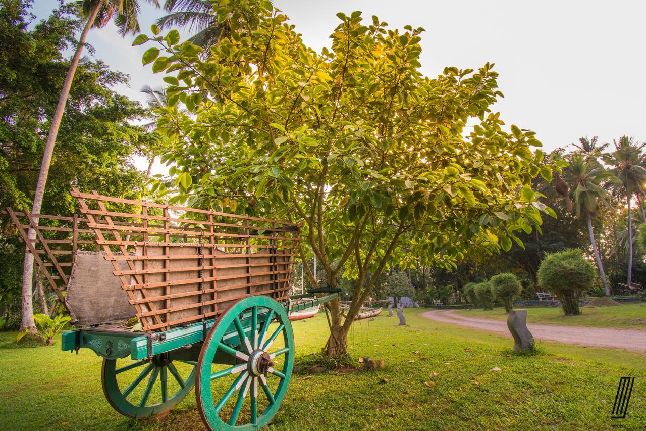 Oreeka - Katunayake Airport Transit Hotels Bagian luar foto
